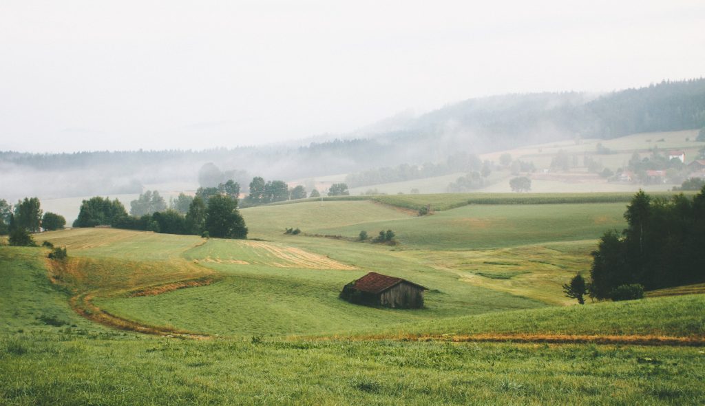 preklasifikovanie